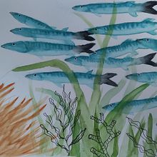 Mon projet du cours : Illustration d'univers marins à l'aquarelle. Un progetto di Illustrazione tradizionale, Pittura, Pittura ad acquerello e Illustrazione naturalistica di Christine Mosaïque - 01.04.2022