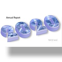 Annual Report. Design project by Irina Vernyayeva - 01.01.2021