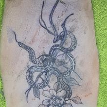 Mi Proyecto del curso: Tatuaje botánico con puntillismo. Traditional illustration, Tattoo Design, and Botanical Illustration project by Fauruk Quimbay - 04.01.2022