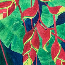 Take me to the tropics. Een project van Aquarelschilderen van 5y74vzjj2h - 02.04.2022