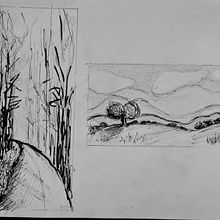 Mi Proyecto del curso: De principiante a superdibujante. Un proyecto de Diseño, Ilustración tradicional, Dibujo a lápiz y Dibujo de Pepa Torres - 03.04.2022