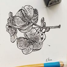 Mi Proyecto del curso: Ilustración con tinta y plumilla: captura el mundo natural . Schițe, Desen, Desen artistic, Caiet de schițe, Ilustrație cu cerneală & Ilustrație naturalistă de Elsie Art - 04.04.2022