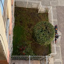 Mi Proyecto del curso: Diseño de espacios verdes para tu casa. L, scape Architecture, Floral, Plant Design, and Spatial Design project by Diego Araht Muñoz Garrio - 04.04.2022