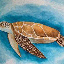 Turtle. Een project van Aquarelschilderen van 5y74vzjj2h - 04.04.2022