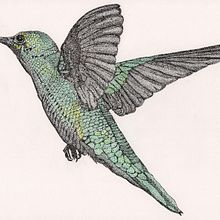 Hummingbird done with stippling.. Un proyecto de Ilustración tradicional de Oscar 59 - 04.04.2022