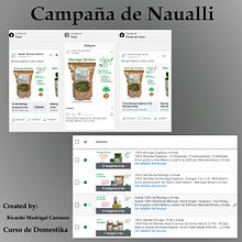 Naualli. Digital Marketing, Marketing, Social Media, Mobile Marketing, Instagram, Facebook Marketing, Instagram Marketing, Growth Marketing, and SEM project by Ricardo Madrigal - 04.13.2022
