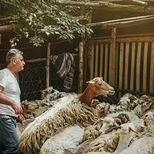 Faces. Un proyecto de Fotografía de josephine caruso - 06.04.1984