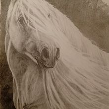 Retratos expresivos de animales. Traditional illustration project by Paula FERREYRA - 04.06.2022
