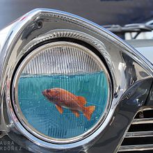 Vida sobre ruedas. Photograph, and Photo Retouching project by Laura Ordóñez Loza - 04.07.2022