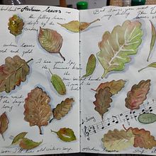 Mi Proyecto del curso: Ilustración botánica con acuarela. Traditional illustration, Fine Arts, Painting, Drawing, Watercolor Painting, and Botanical Illustration project by artekinari - 04.07.2022