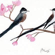 Meu projeto do curso: Técnicas expressivas de aquarela para ilustração de pássaros. Projekt z dziedziny Trad, c, jna ilustracja, Malowanie akwarelą, R, sunek realist, czn, Ilustracja naturalist i czna użytkownika Andrea Nascimento - 08.04.2022