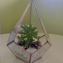 Mi Proyecto del curso: Creación de terrarios con la técnica Tiffany. Un projet de Création d'accessoires, Design d'intérieur, Décoration, DIY , et Art floral et végétal de Laura Carolina Ortiz - 08.04.2022