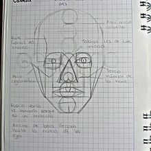 Mi Proyecto del curso: Dibujo anatómico para principiantes . % taizmosquera16 tarafından hazırlanan Güzel sanatlar, Eskiz çizimi, Kalem Çizimi, Çizim, Gerçekçi Çizim, Ve Şekil Çizimi projesi - 04.08.2022