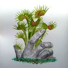 Dionea. Traditional illustration project by Gabriela Silva - 04.09.2022