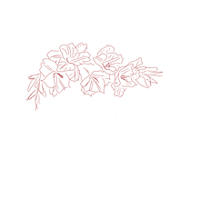 My project for course: Tattoo for Beginners gladiolus flower. Un proyecto de Diseño de tatuajes de Gabriela Valencia - 11.04.2022