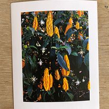 Minhas intervenções com bordado em fotografias. Een project van Fotografie, Papercraft, Borduurwerk, DIY y Textielontwerp van Mariana Gandarela - 11.04.2022