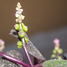My project for course: Beginner’s Photography: Basic Camera Use and Theory. Un projet de Photographie, Photographie numérique , et Composition photographique de Serena Sawalha - 08.04.2022