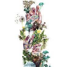 Fine art watercolour illustrations. Traditional illustration, Watercolor Painting, Fine Arts, Painting, Arts, Crafts, Creativit, Botanical Illustration, Naturalistic Illustration, Floral, and Plant Design project by Helena Smyth - 03.03.2020
