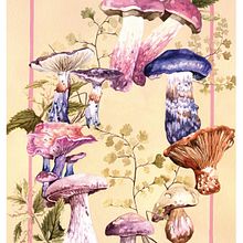 Mycology artworks. Traditional illustration, Watercolor Painting, Painting, Education, Fine Arts, Picturebook, Floral, Plant Design, Naturalistic Illustration, and Botanical Illustration project by Helena Smyth - 04.13.2022