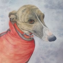 Finn. Traditional illustration, Fine Arts, and Watercolor Painting project by Maria Moss - 04.13.2022