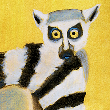 My project for course: Drawing from Real Life: Learn to Observe Reality. Un proyecto de Diseño, Ilustración tradicional, Bellas Artes, Bocetado, Dibujo a lápiz y Dibujo realista de the_flying_ewe - 15.05.2022