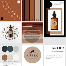 Mi proyecto de diseño grafico. Productos Naturales ASTRO. Un progetto di Design, Br, ing, Br, identit, Graphic design, Tipografia, Design di loghi e Design tipografico di Delfina Nuñez - 14.04.2022