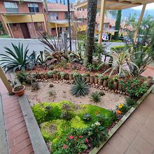 Mi Proyecto del curso: Diseño de espacios verdes para tu casa. Projekt z dziedziny Architektura krajobrazu, Kompoz, cje kwiatowe i botaniczne i Projektowanie przestrzeni użytkownika Manuel Andrés Olarte Quintero - 14.04.2022