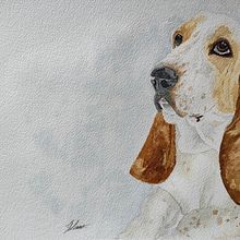 My project for course: Expressive Animal Portraits in Watercolor Ein Projekt aus dem Bereich Traditionelle Illustration, Aquarellmalerei, Realistische Zeichnung und Naturalistische Illustration von clau2993_ - 09.04.2022