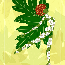 My project for course: Illustration: From Idea to Concept. Traditional illustration, and Creativit project by Johanna - 04.03.2022