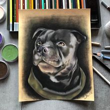 Ritratto realistico con i pastelli morbidi. Un proyecto de Ilustración tradicional, Bellas Artes, Dibujo, Dibujo de Retrato y Dibujo realista de Alessandra CosettedArte - 15.04.2022