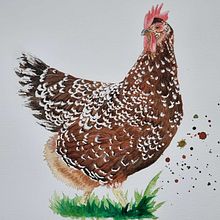 Mein Kursprojekt: Ausdrucksstarke Tierporträts in Aquarell. Traditional illustration, Watercolor Painting, Realistic Drawing, and Naturalistic Illustration project by Stefanie Wagner - 04.16.2022