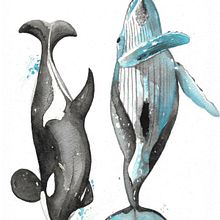 My project for course: Naturalist Illustration Techniques: Whales in Watercolor. Un proyecto de Ilustración tradicional, Diseño de carteles, Ilustración digital y Manga de jmcneely0319 - 18.04.2022