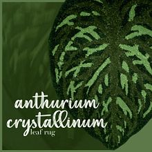 Anthurium crystallinum rug . Sewing, Punch Needle, Embroider, Design, and Traditional illustration project by Katerina Stryckova - 02.12.2022