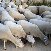 Ejercicio. Projekt z dziedziny  Muz, ka, Produkcja muz i czna użytkownika est_verd - 19.04.2022