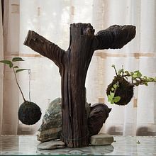 My project for course: Kokedamas: Create Natural Moss Pots . Un projet de Artisanat, Design d'intérieur, Pa, sagisme, Décoration, DIY , et Art floral et végétal de Archelaos Biehler - 19.04.2022