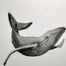 Mi Proyecto del curso: Técnicas de ilustración naturalista: ballenas en acuarela . % paulina_13 tarafından hazırlanan Geleneksel illüstras, on, Sulubo, Ve a Resim projesi - 04.19.2022