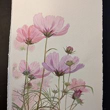 My project for course: Botanical Sketchbooking: A Meditative Approach. Traditional illustration, Sketching, Drawing, Watercolor Painting, Botanical Illustration, and Sketchbook project by kimi_skyblue5 - 04.19.2022