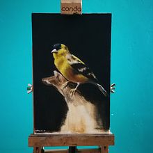 Mi Proyecto del curso: Pintura al óleo para retrato naturalista de aves. Un proyecto de Bellas Artes, Pintura, Pintura al óleo e Ilustración naturalista				 de Michael Ortegon Viña - 19.04.2022