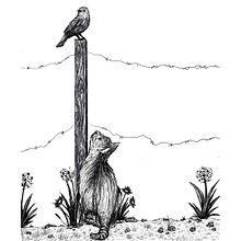 Bird Watching. Traditional illustration, Digital Illustration, Drawing, and Digital Drawing project by Shannon Carter - 04.19.2022