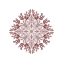 My most recent design. Traditional illustration, Pattern Design, Sketching, Creativit, Decoration, Tattoo Design, Digital Design, Botanical Illustration, Digital Drawing, and Design project by naomihuth - 04.15.2022
