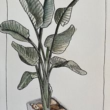 Mon projet du cours : Carnet de croquis : illustrez vos expériences personnelles Ein Projekt aus dem Bereich Traditionelle Illustration, Skizzenentwurf, Zeichnung, Sketchbook und Illustration mit Tinte von pierroz - 20.04.2022