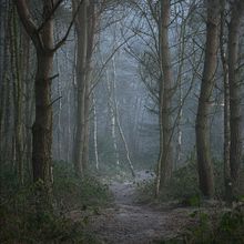 Lumber. Un progetto di Scrittura creativa di Andrew - 21.04.2022