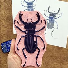 Stagbeetle - carving. Un proyecto de Artesanía de Viktoria Åström - 21.04.2022
