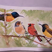 Acuarela artística para ilustración de aves . Ilustrație tradițională, Pictură în acuarelă, Desen realist & Ilustrație naturalistă de Brenda Santos - 04.20.2022