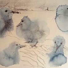 My project for course: Creative Watercolor Sketching for Beginners. Traditional illustration, Sketching, Creativit, Drawing, Watercolor Painting, and Sketchbook project by ankeckardt - 04.21.2022