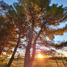 Día de campo. Un proyecto de Fotografía de Maria Esther Insaurralde - 22.04.2022