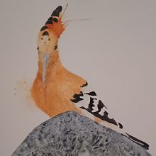Wendehals mit Spatel Technik. Watercolor Painting project by Carmen Bezençon - 04.22.2022