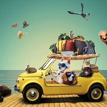 Vacaciones. Un proyecto de Composición fotográfica, Diseño, Fotografía, Fotografía artística y Fotomontaje de Sílvia Perna - 22.04.2022