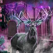 Mi Proyecto del curso: Secretos del fotomontaje y el retoque creativo. Un proyecto de Fotografía, Post-producción fotográfica		, VFX, Retoque fotográfico, Fotografía artística, Composición fotográfica y Fotomontaje de armasload - 23.04.2022