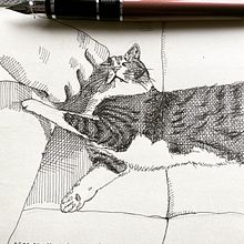 Mój szrafowany pamiętnik / My cross-hatching diary. Traditional illustration, Sketching, Drawing, Sketchbook & Ink Illustration project by Beata Dul - 04.26.2022